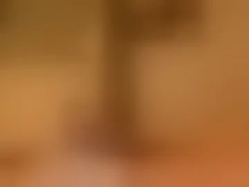 vincgito
