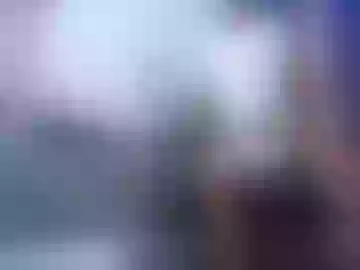 vinzent_lafed_