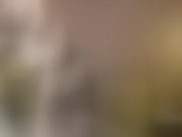 vixendi