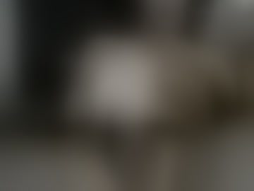 whoisu_
