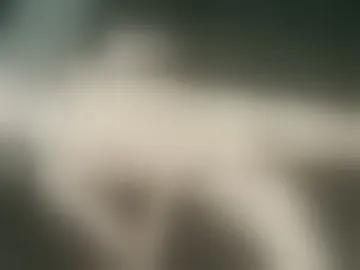 whynotgetnaked