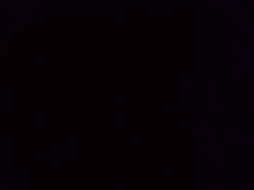 wild_seduction
