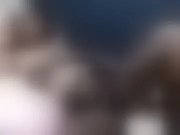 wildlittlekittyxx