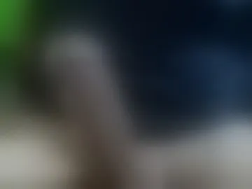 winky13