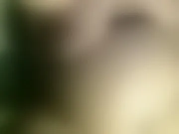 xlilly_