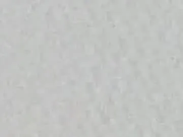 xxxhairyladyxxx