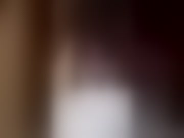 y443667