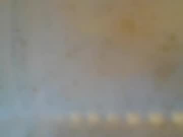 yofreak699999290278