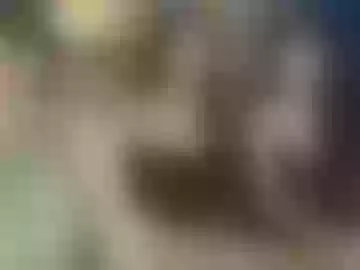 yourcreamycock4allxxx
