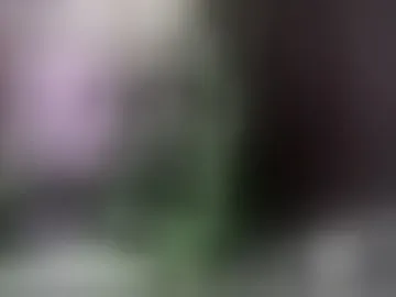 yourownerserena