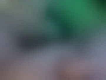 zarakibi