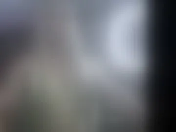 zenluxxe