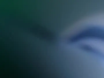 zerrannor