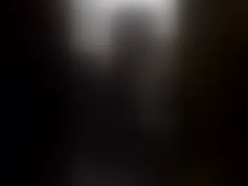 zinzux