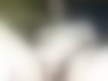 znkdslv