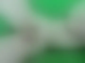 zordzken