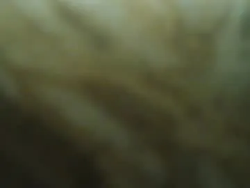 zutter11